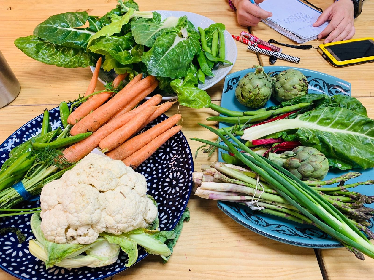 Curso de cocina de verduras y hortalizas 