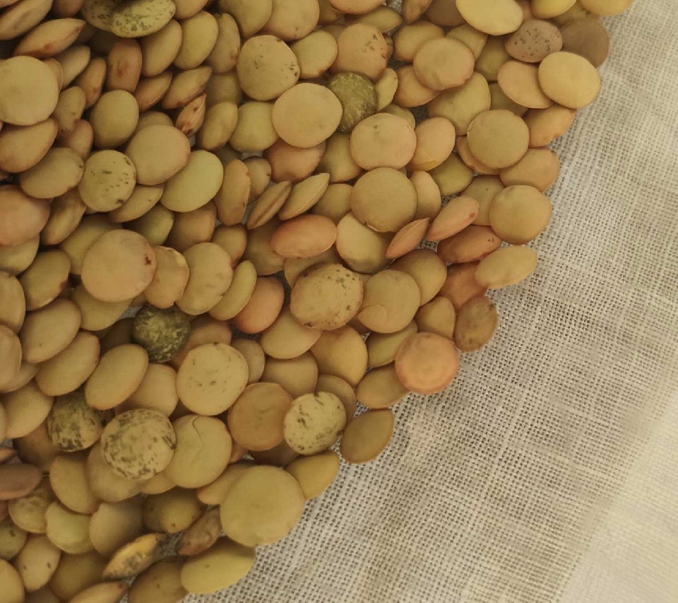 Pastas, arroces y legumbres (7) -