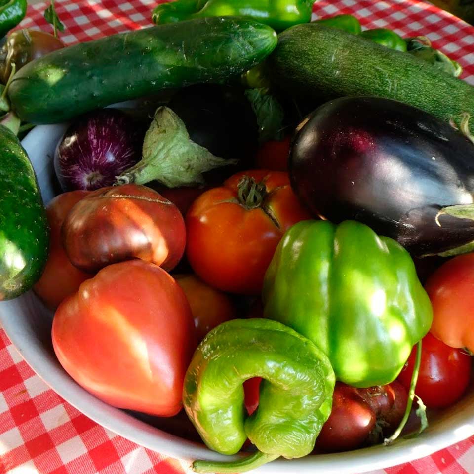 Taller de cocina: verduras de verano